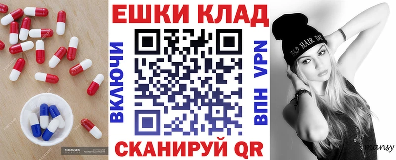 Ecstasy Punisher kraken ONION Грозный