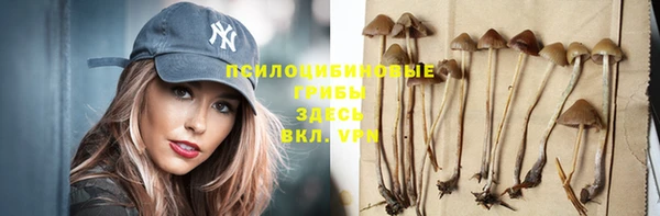 mdpv Верхний Тагил