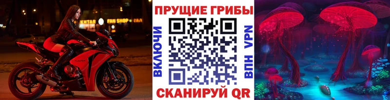 Псилоцибиновые грибы Cubensis  hydra вход  Грозный 